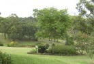 Hamersleyresidential-landscaping-40.jpg; ?>